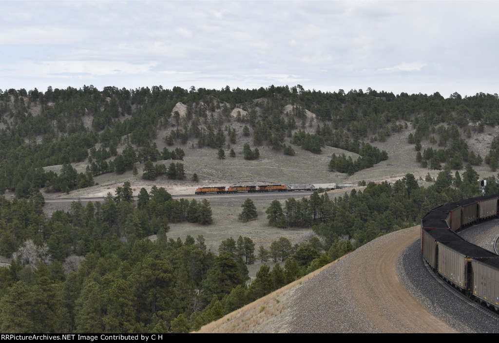 BNSF 7688/5066/7791